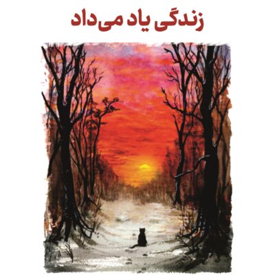 خرید کتاب گربه ای که راه و رسم زندگی یاد می داد از نشر کوله پشتی